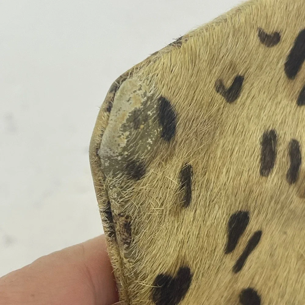 Deena‎ & Ozzy Leather Coin Purse Leopard Print Zip Flap Pouch Western Festival